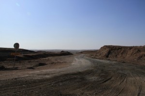 IMG_8539