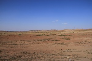 IMG_8542