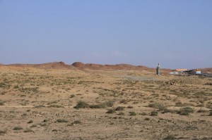 IMG_8553