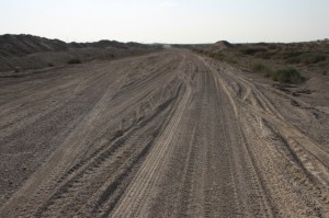 IMG_8559
