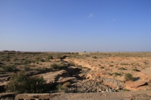 IMG_8560