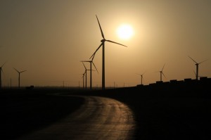 IMG_8574
