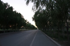 IMG_8591