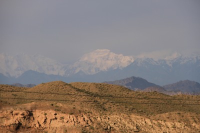 IMG_2461