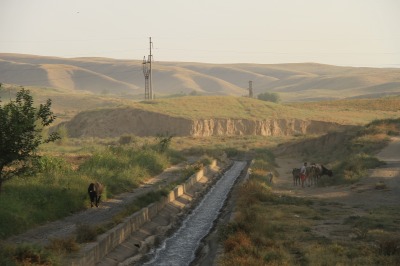 IMG_3916