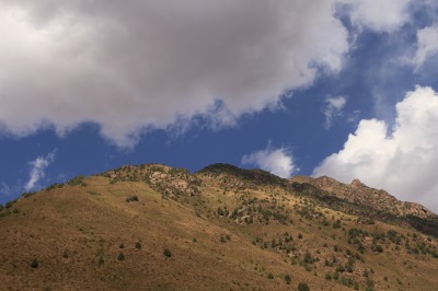 IMG_4494