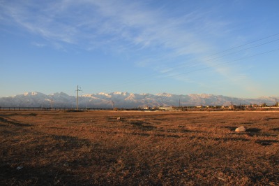 IMG_6051
