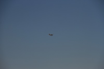 IMG_6291(1)