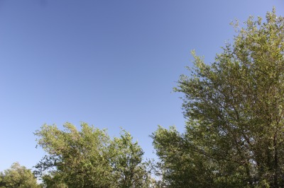 041