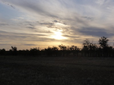 002DSC01905