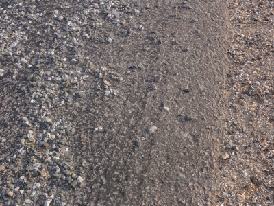 003DSC01905