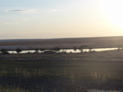 009DSC01838