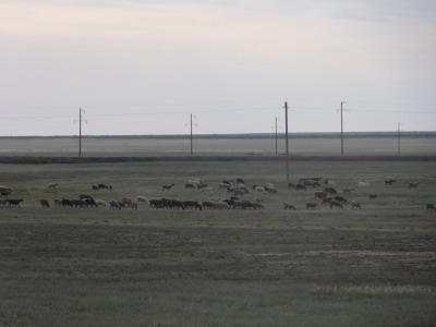 009DSC01905