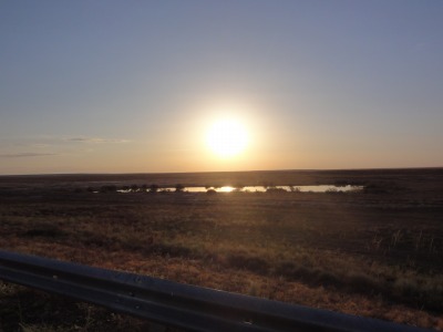010DSC01839