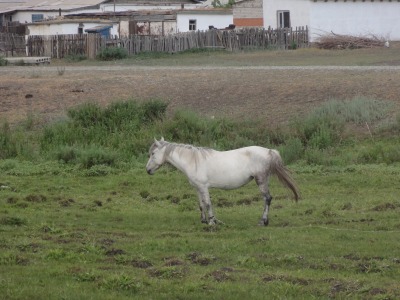010DSC01965