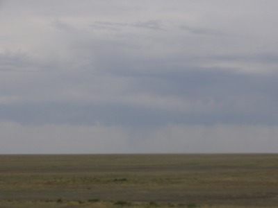 017DSC01905