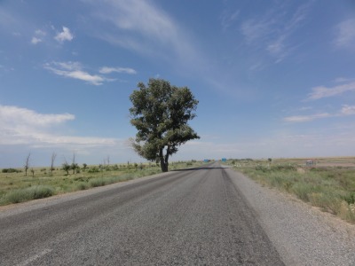 031DSC01905