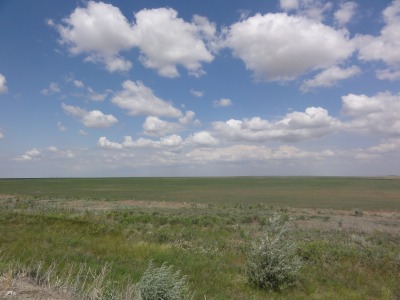051DSC01965