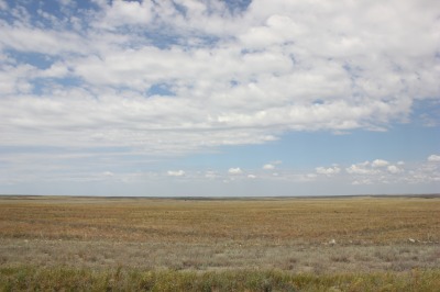 065DSC01965