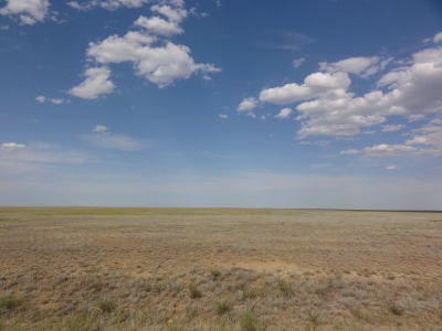 069DSC01895