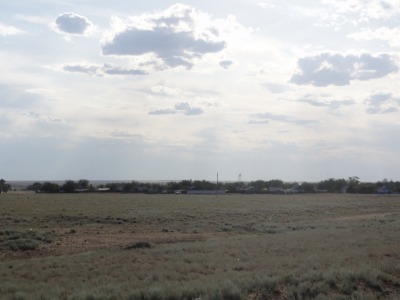 077DSC01902