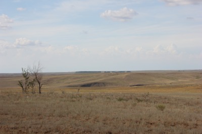 116DSC01965
