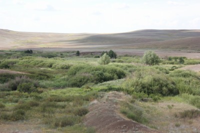 132DSC01965