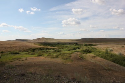 135DSC01965