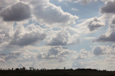 138DSC01965