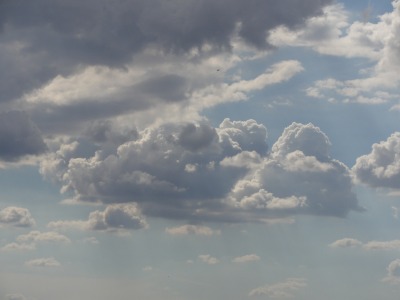 143DSC01965