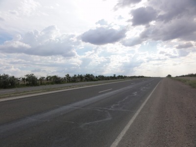 153DSC01965