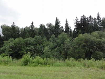 DSC02316
