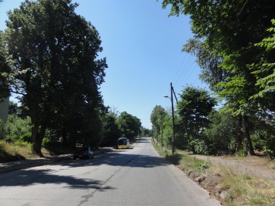 006DSC02659