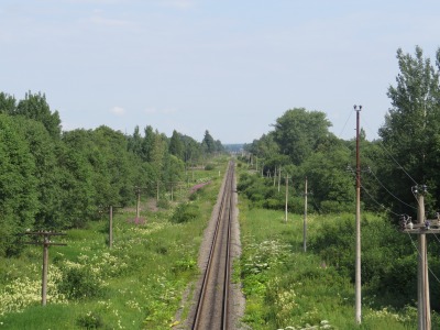 010DSC02399