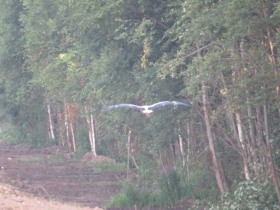 010IMG_1010