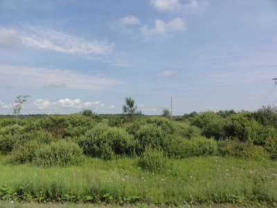 015DSC02399