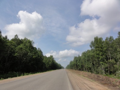 019DSC02399
