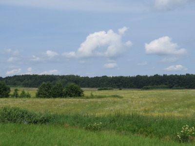 025DSC02399
