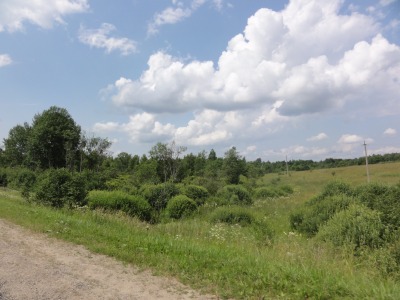 059IMG_0249