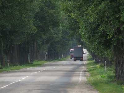 065IMG_1286