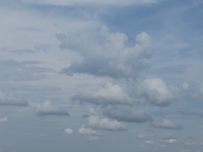 066DSC02399