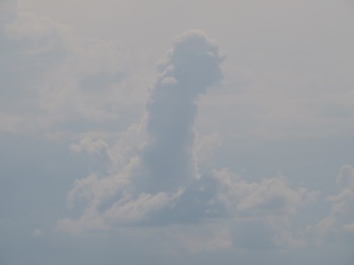 070DSC02399