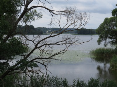 074IMG_1293