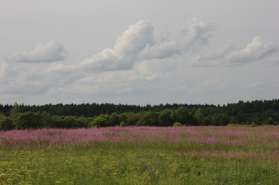 080DSC02399
