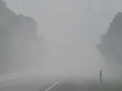 086DSC02399