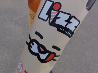 110DSC02399