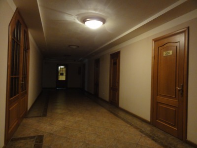 111DSC02399