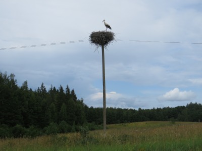 126DSC02580