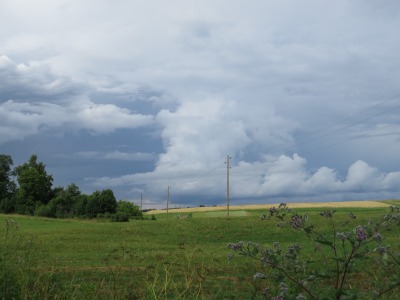 131DSC02580