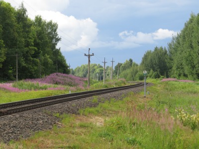 139DSC02580